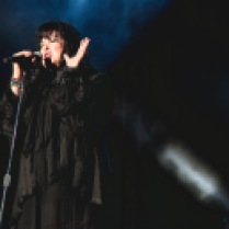 Ann Wilson perform with Heart at BottleRock Napa, 2014